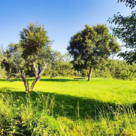 Casa Florestal - Pure Nature *